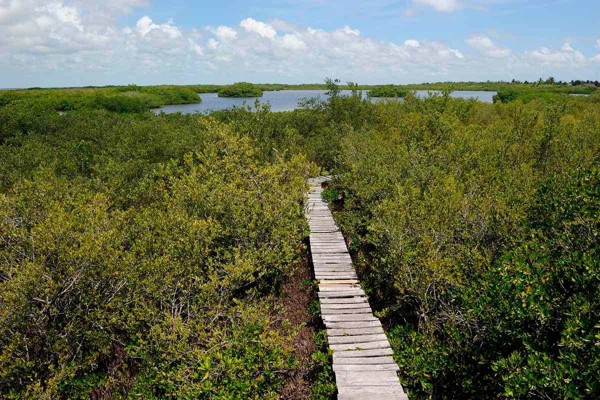 Sian Ka'an Biosphere Reserve, a World Heritage Site. It is the largest protected area in the Mexican Caribbean. Quintana Roo, Mexico.