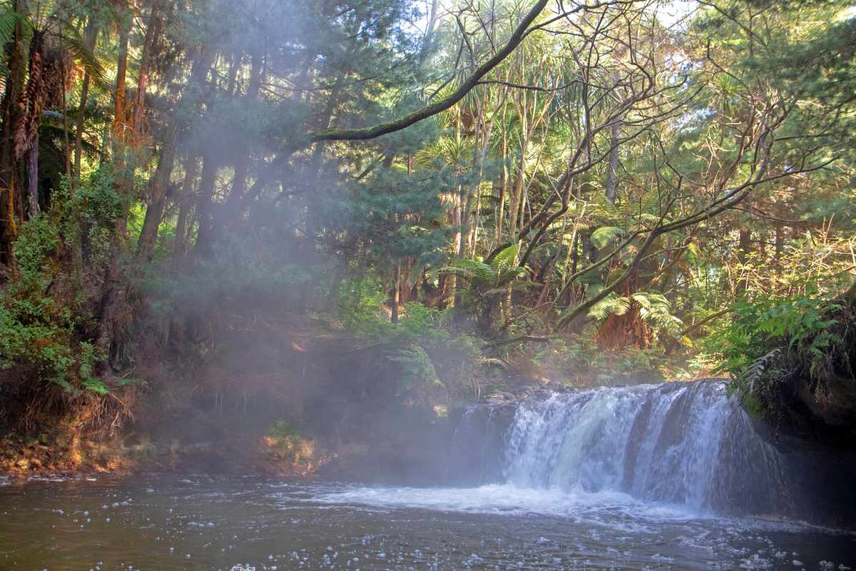 Steam pours from the naturally heated waters of Kerosene Creek