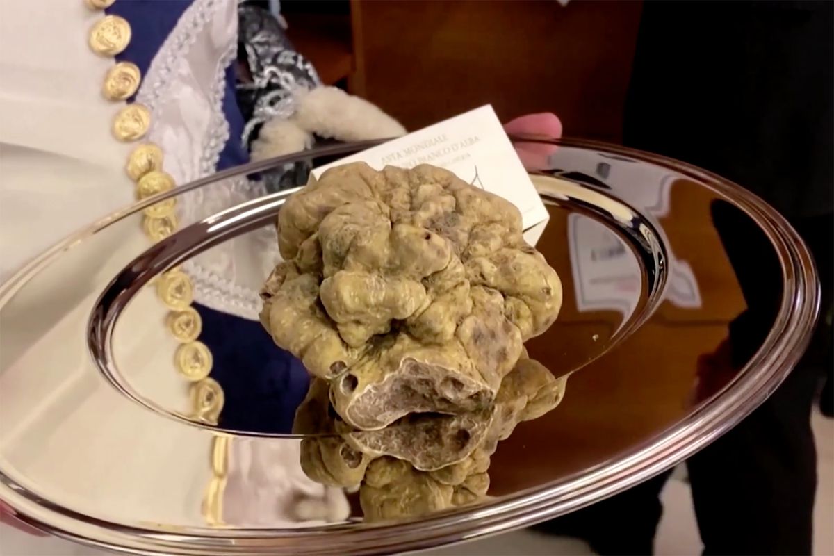 A large truffle on a silver platter