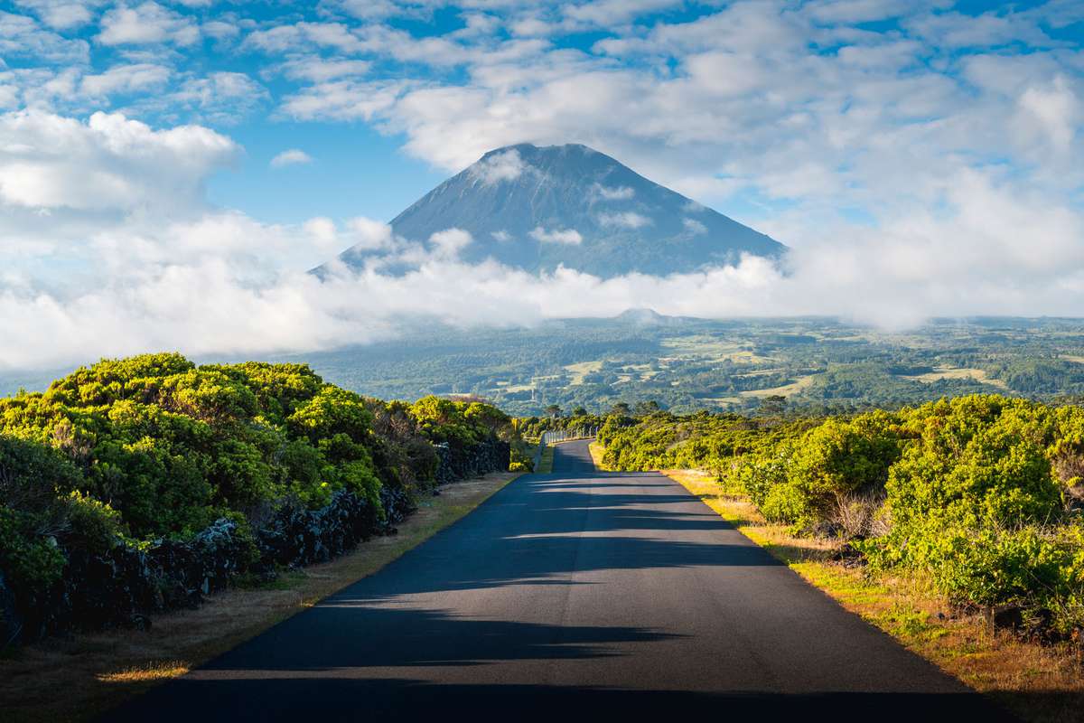 Road to Mount Pico, Azores