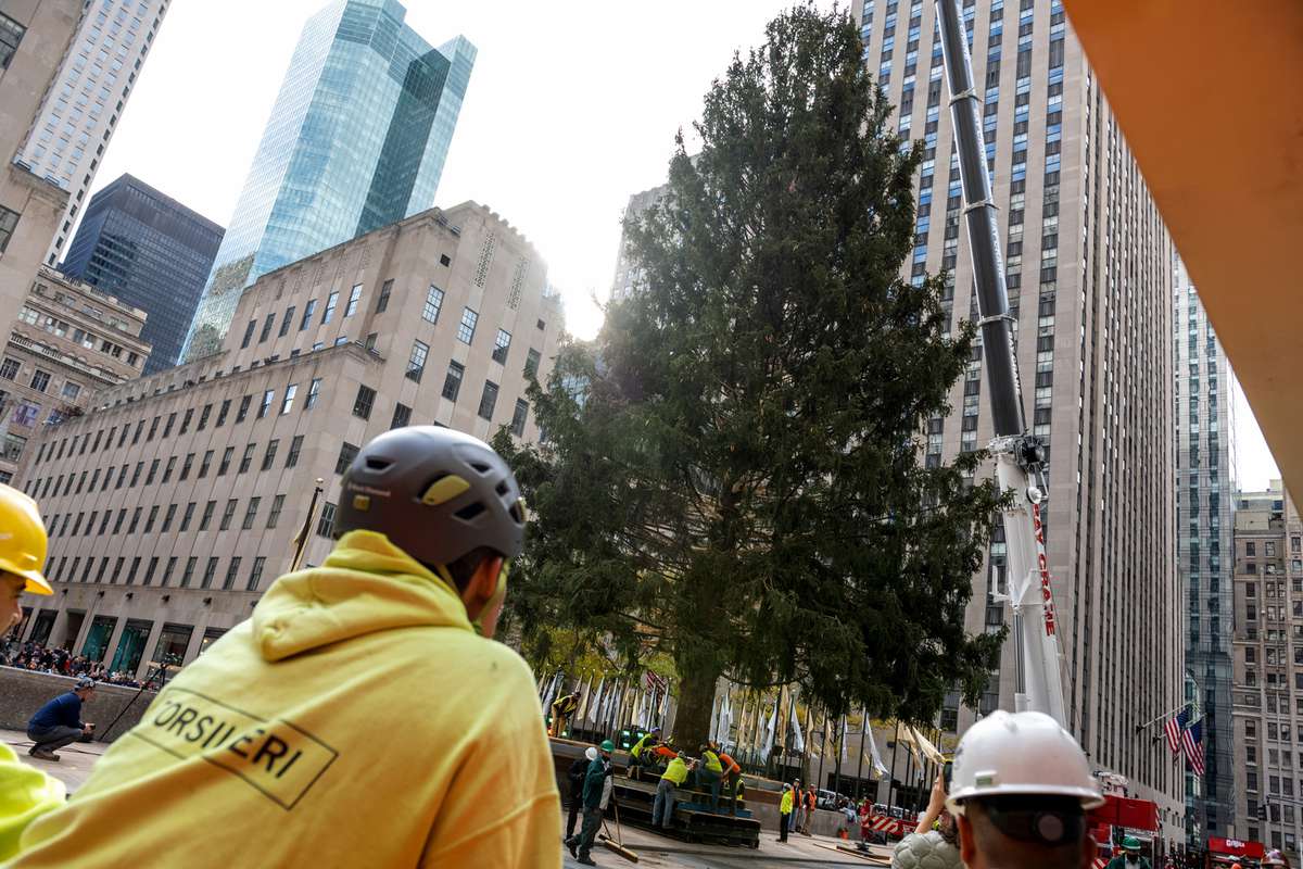 Workers watch as The Rockefeller Center Christmas Tree is moved into place
