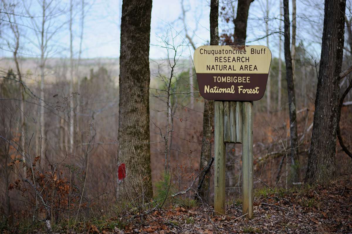 Sign in Tombigbee National forest for Chuquatonchee Bluff Research Natural Area