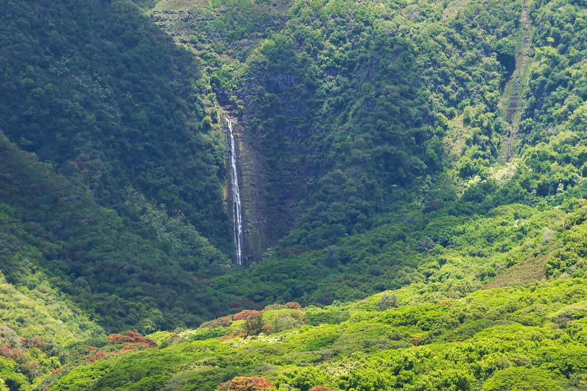 Falls is the largest waterfall in the Halawa Valley dropping a reported 500 feet.