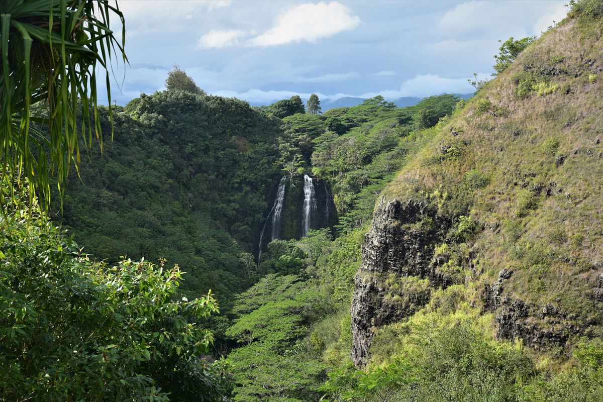 Uluwehi Falls aka Secret Falls,Kauai,Scenic view of forest against sky, Hawaii