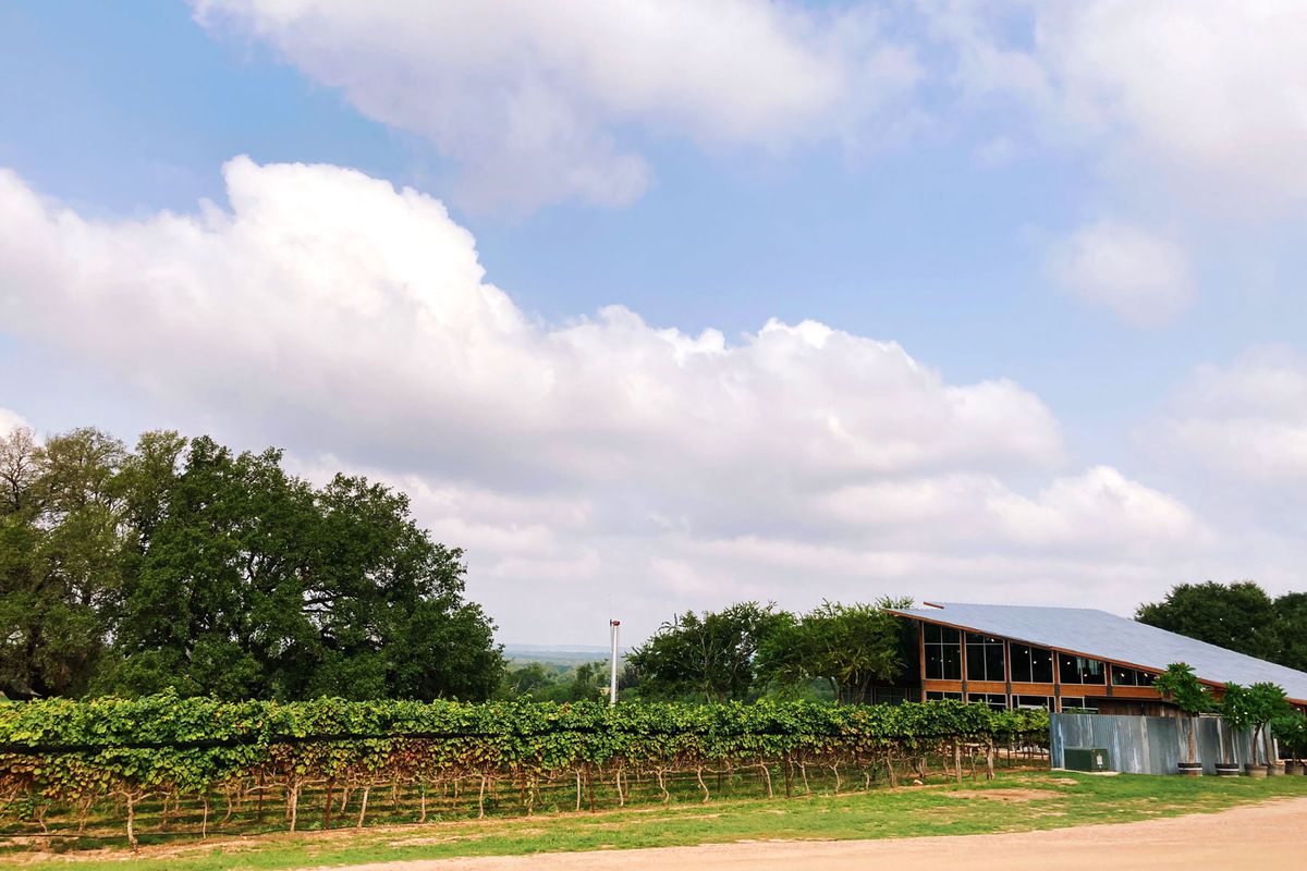 Vineyard and welcome center building at William Chris Vineyards in Hye, Texas