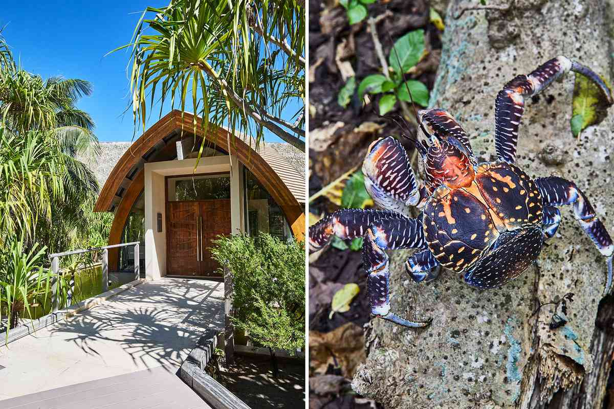 Pair of photos from Tetiaroa island, showing the entrance to a restaurant at Brando resort, and a coconut crab sitting on a log