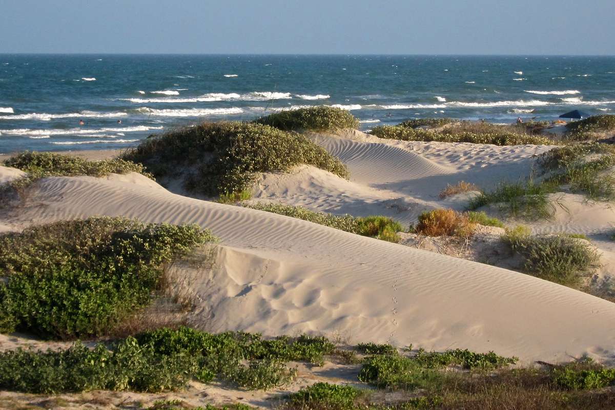 Sand dunes at Padre Island's North Beach