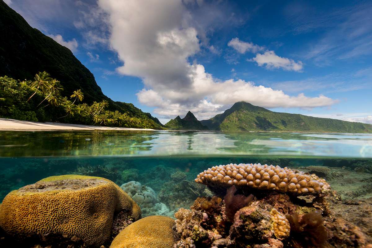Coral reef in The National Park of American Samoa, Ofu Island.