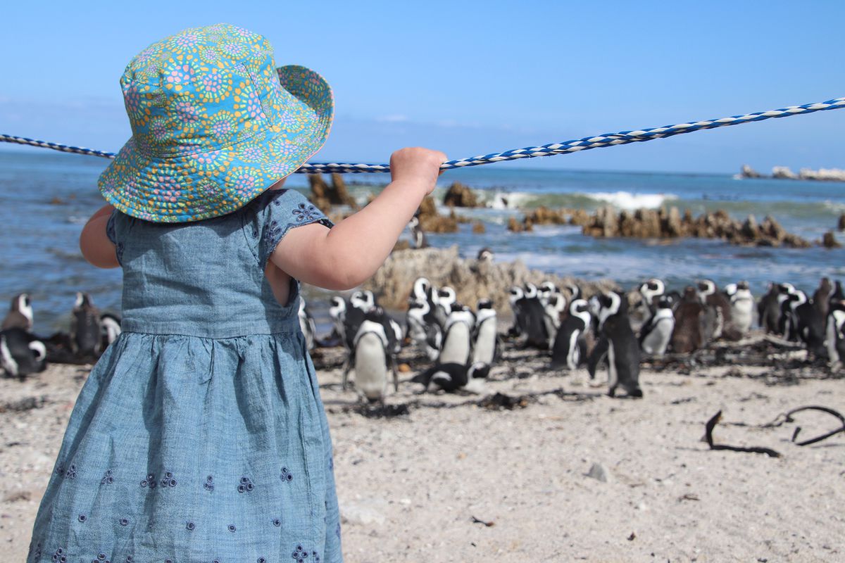 Kathryn Romeyn daughter looking at the penguins in South Africa