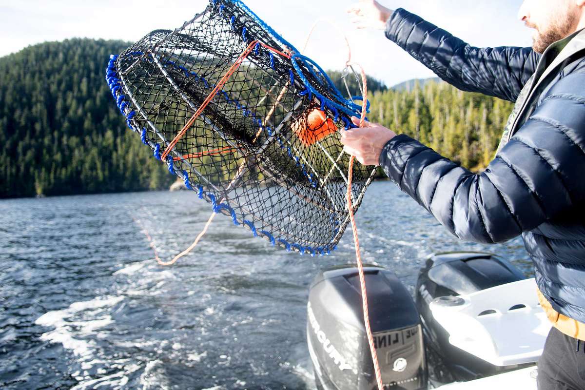 Man casting cage for catching seafood from a boat at Tofino Resort + Marina