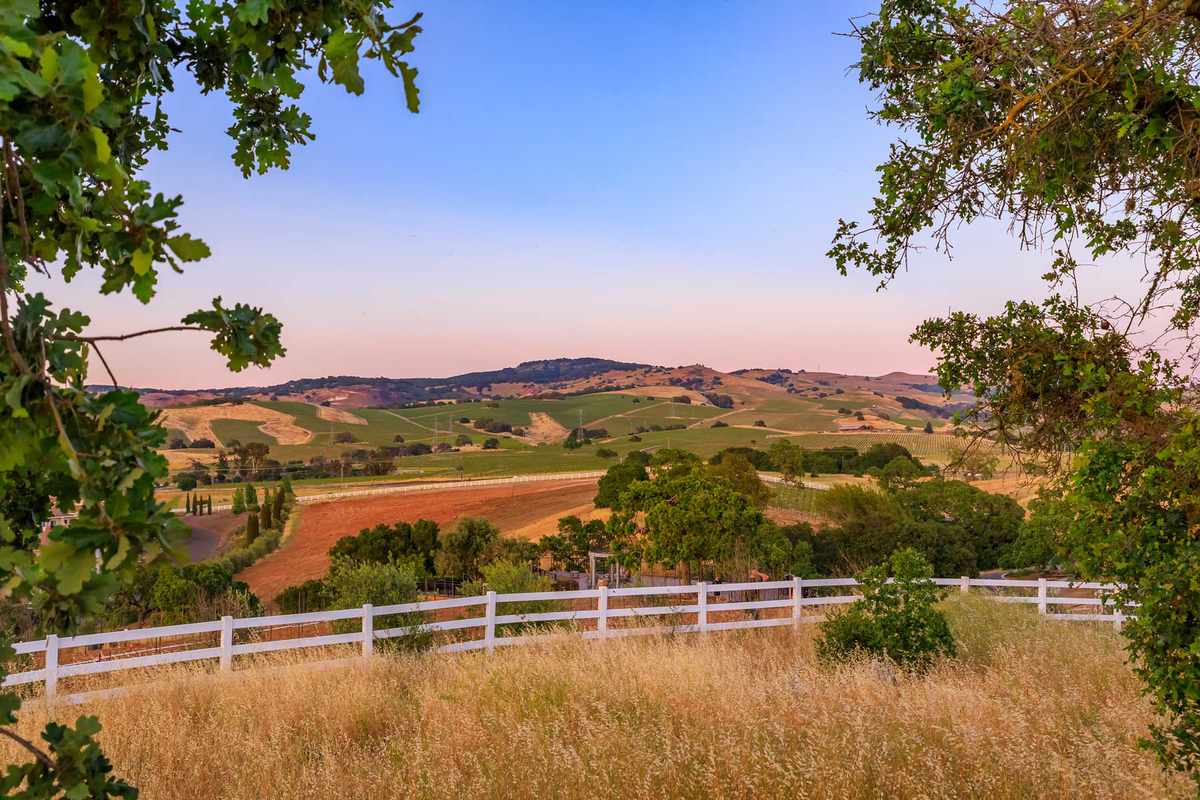 Landscape with hills and valleys at sunset at a vineyard in the spring in Napa Valley, California
