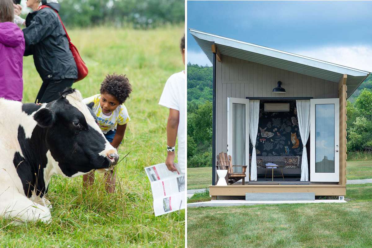 Scenes from Farm Sanctuary, a farm animal sanctuary in New York, including a child petting a cow, and a guest cottage