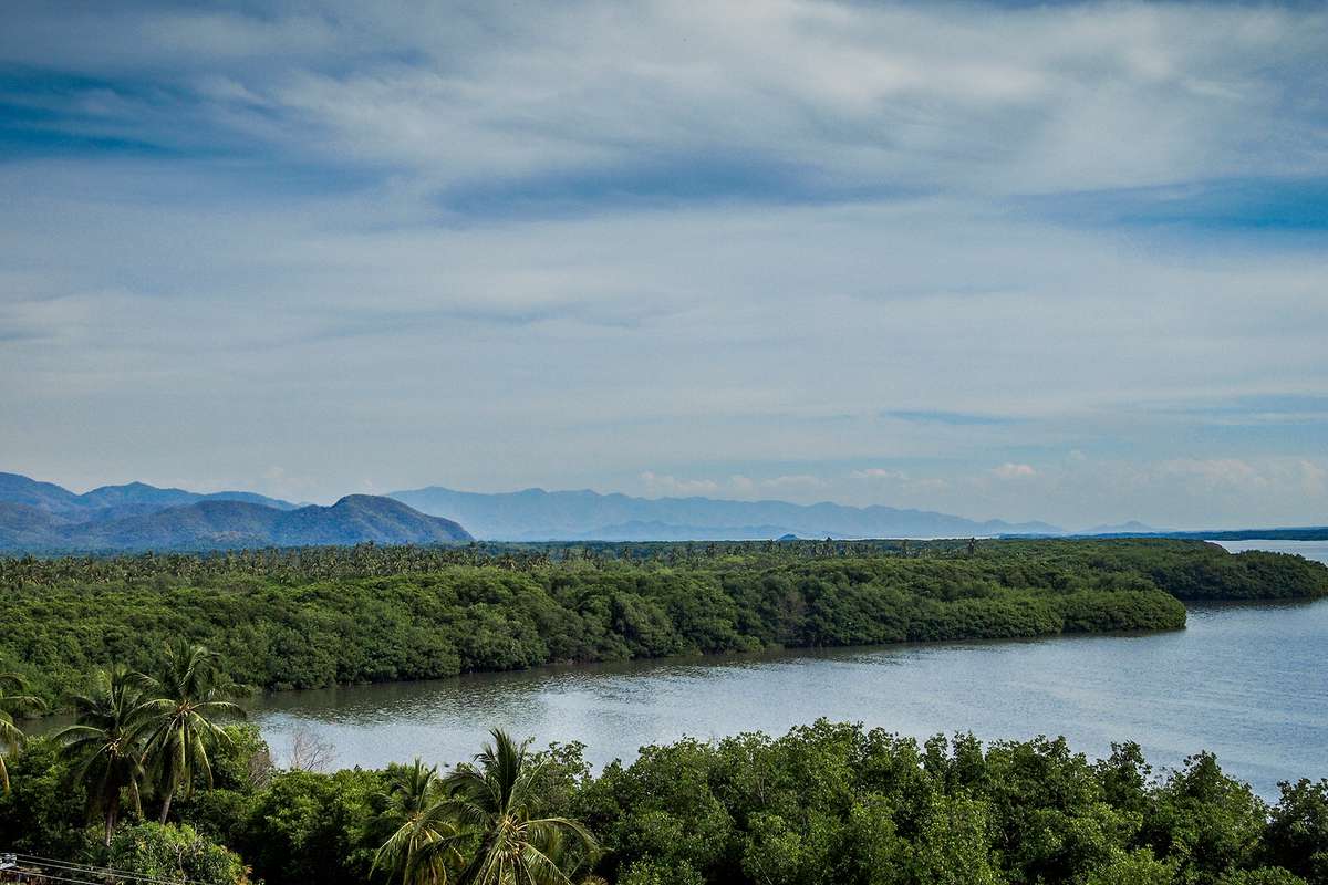 beautiful view of the Cuyutlan lagoon with green vegetation and a blue sky