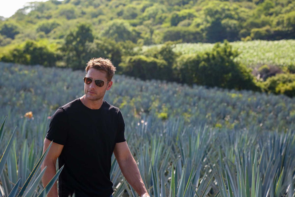 Justin Hartley, agave, distillery in Morelos