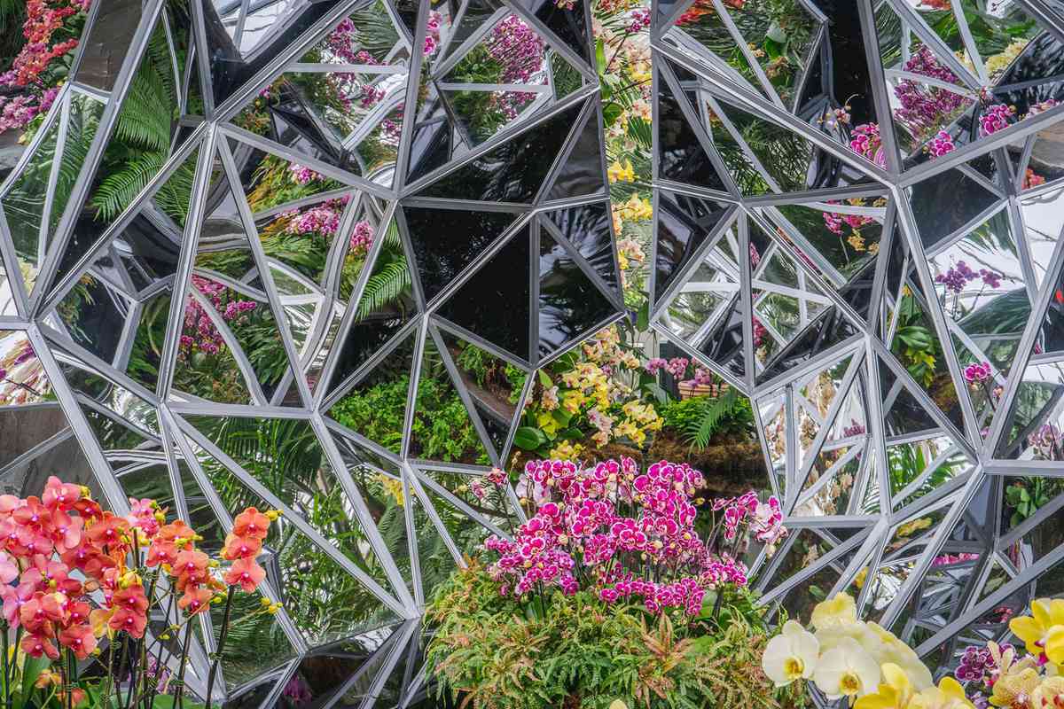 Jeff Leatham's mirrored installation reflects the orchids nearby