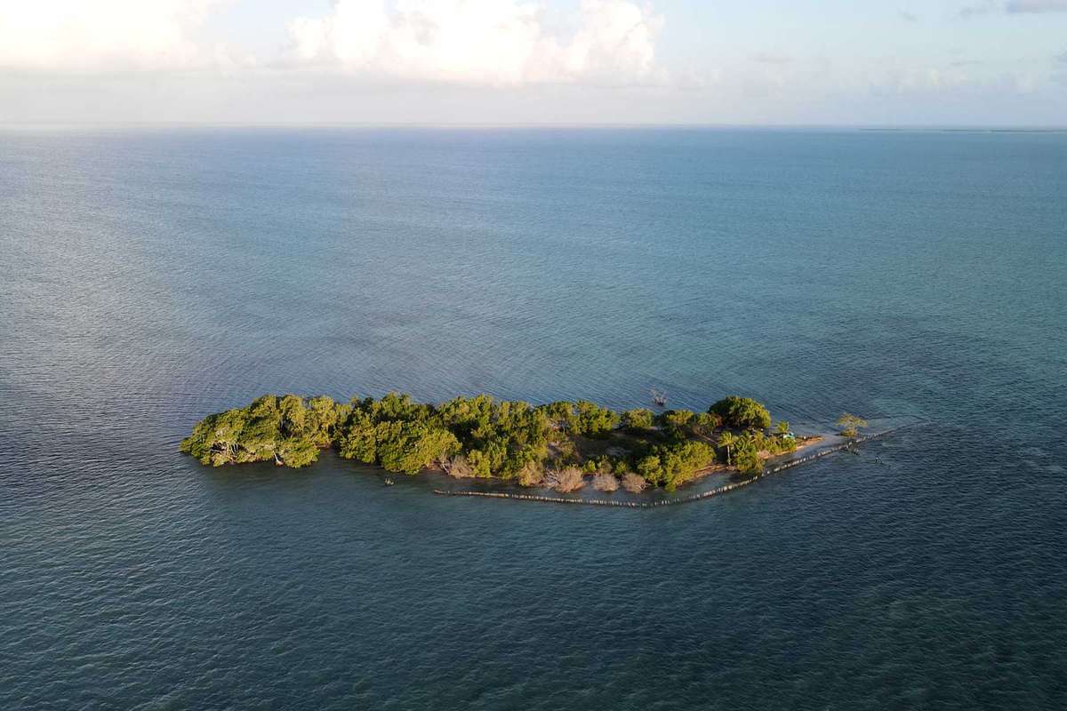 Aerial view of Coffee Caye