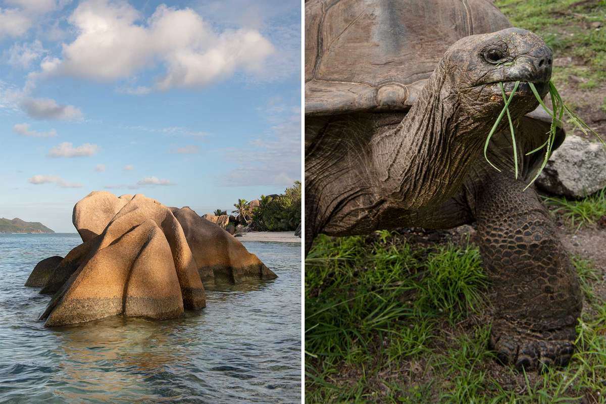 Two photos form the Seychelles, one showing unique rock formations off the island of La Digue, and one showing a portrait of a tortoise on Desroches