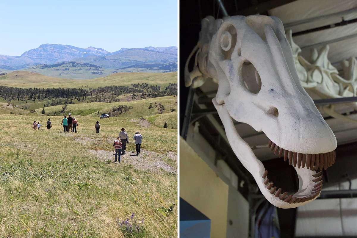 Two photos from the Montana Dinosaur Center showing a group out on a recreational dig, and a model of a seismosaur head