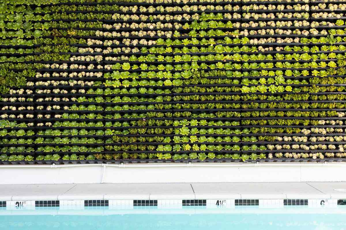 Plant Wall at Short Stories Hotel pool in West Hollywood