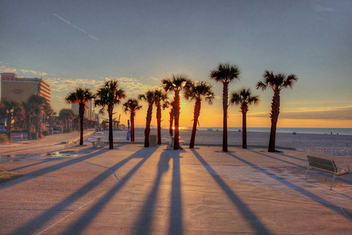 Sunrise behind a row of palm trees creates long shadows resembling stripes in the pavement. Along the beautiful Gulf Shores Beachwalk on an early autumn morning.