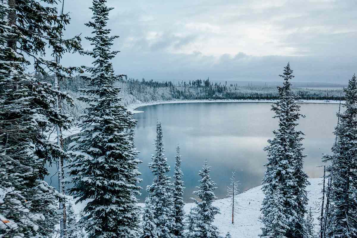 Scenic view of lake by frozen trees in Yellowstone National Park