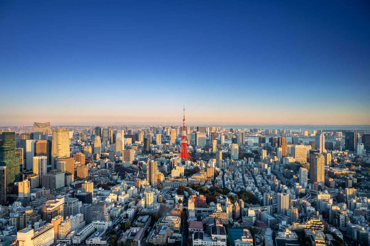 Aerial view of Tokyo skylines with tokyo tower and tokyo city in sunset, Landmark of Japan