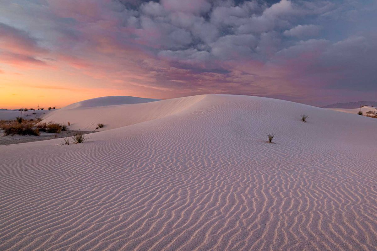 Beautiful sunrise and pink sky light up the sand dunes at White Sands National Park