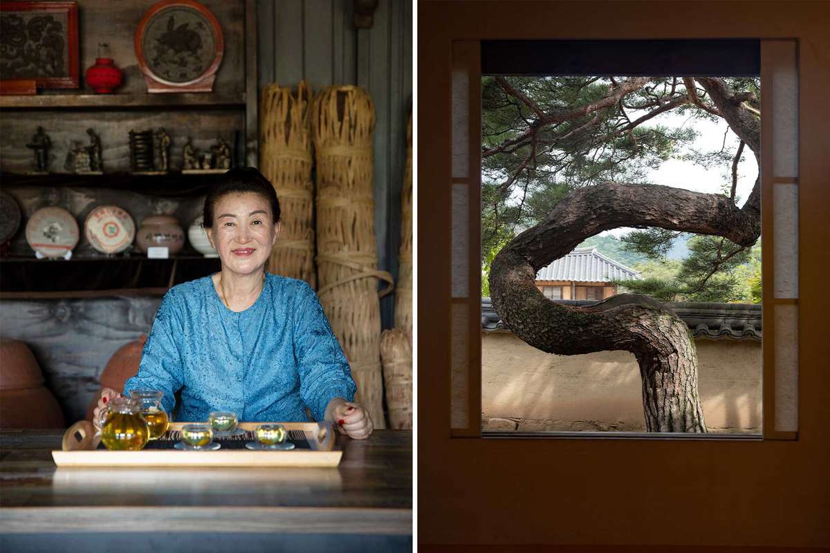 Pair of photos show a woman at a tea house, and a tree growing at a Korean estate