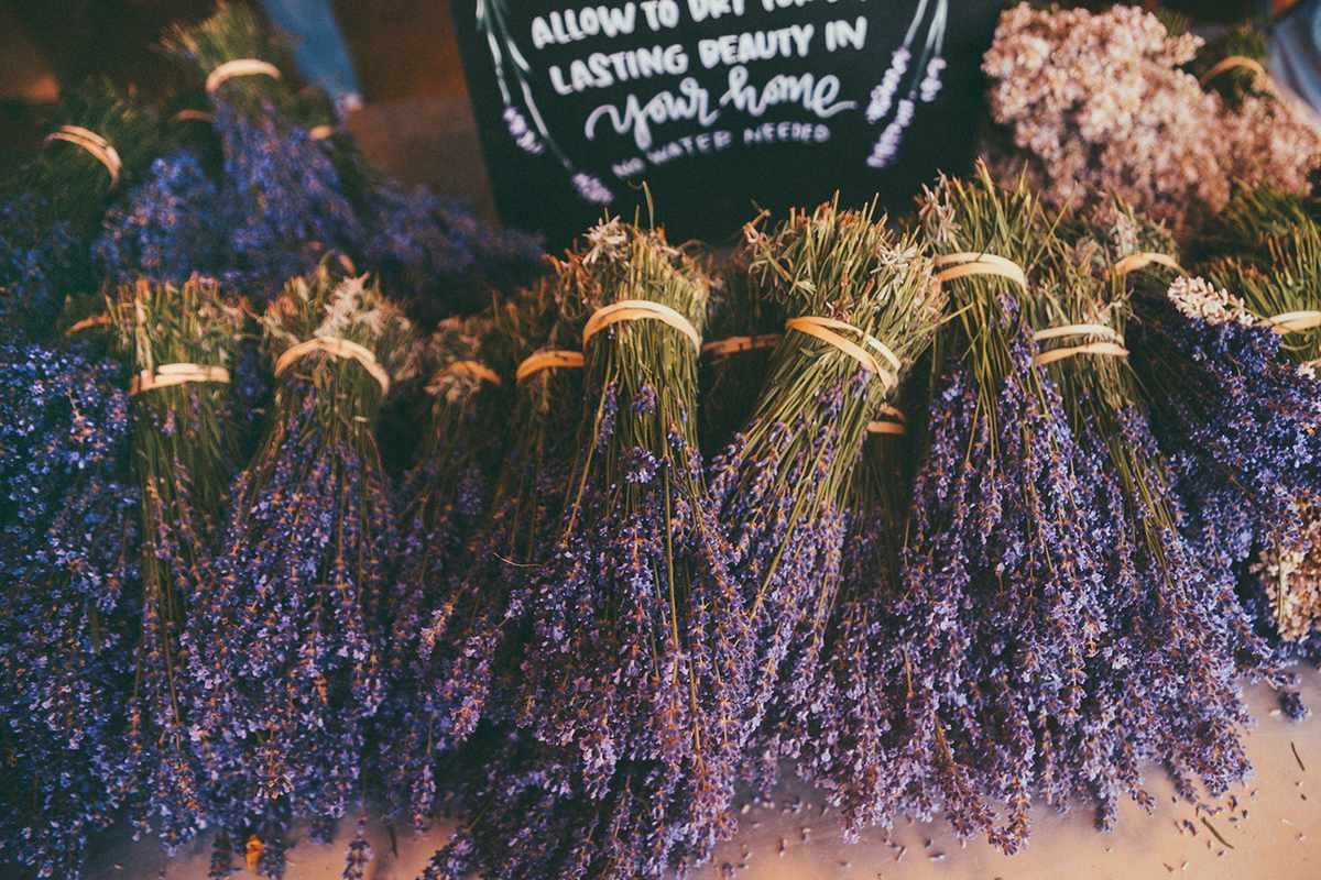Fresh lavender at a farm stand at Lavender By The Bay