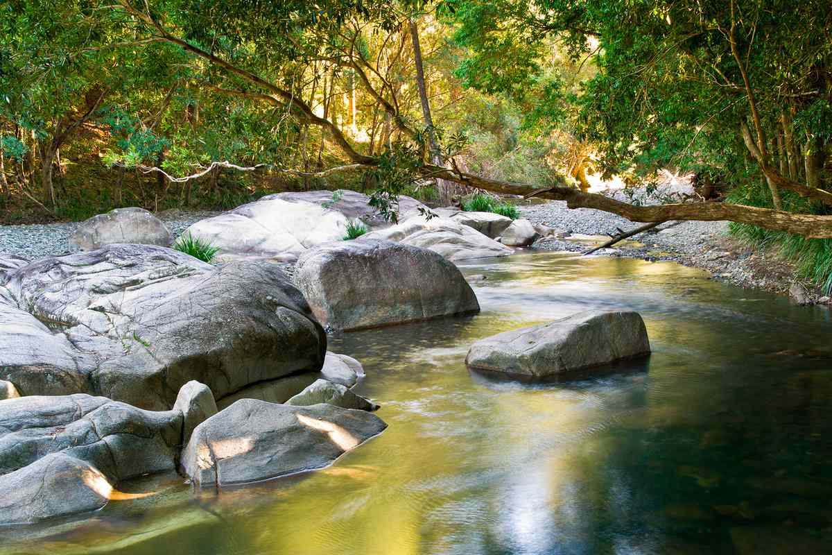 Never Never Creek, Bellingen, New South Wales, Australia.