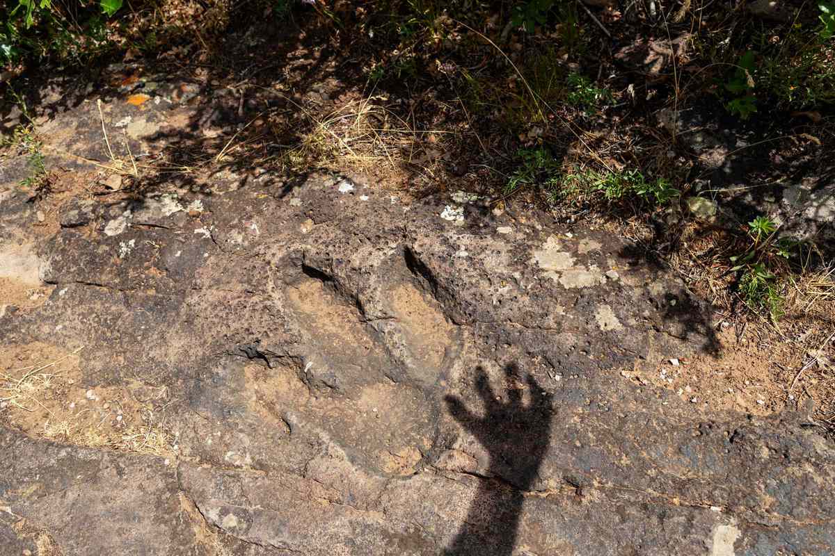 A shadow of human hand over fossilized dinosaur footprint