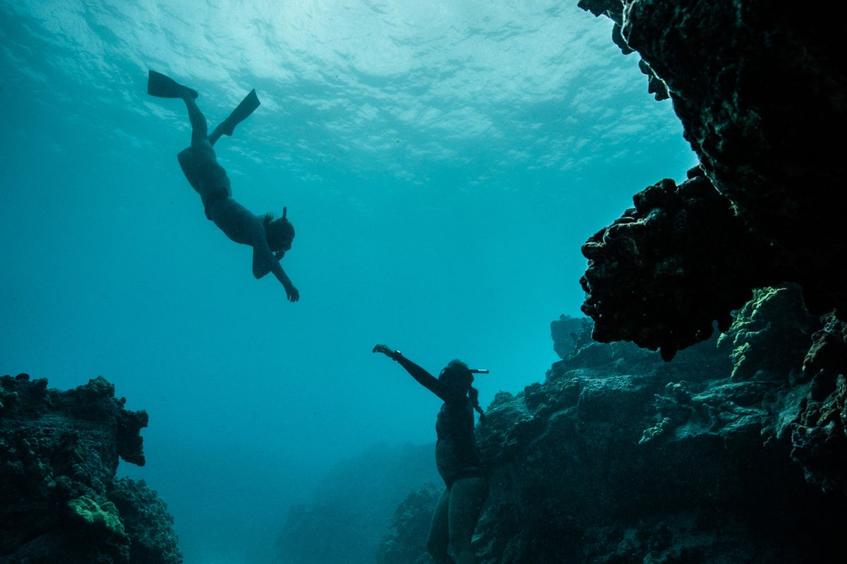 Free diving with Kimi at Four Seasons Resort Hualalai