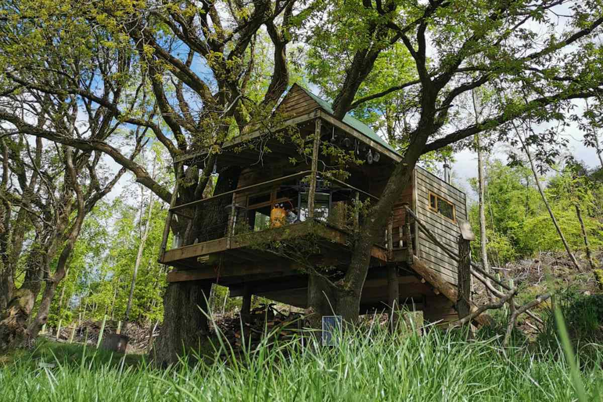 Exterior of the Hilltop Treehouse in Baltinglass, County Wicklow, Ireland