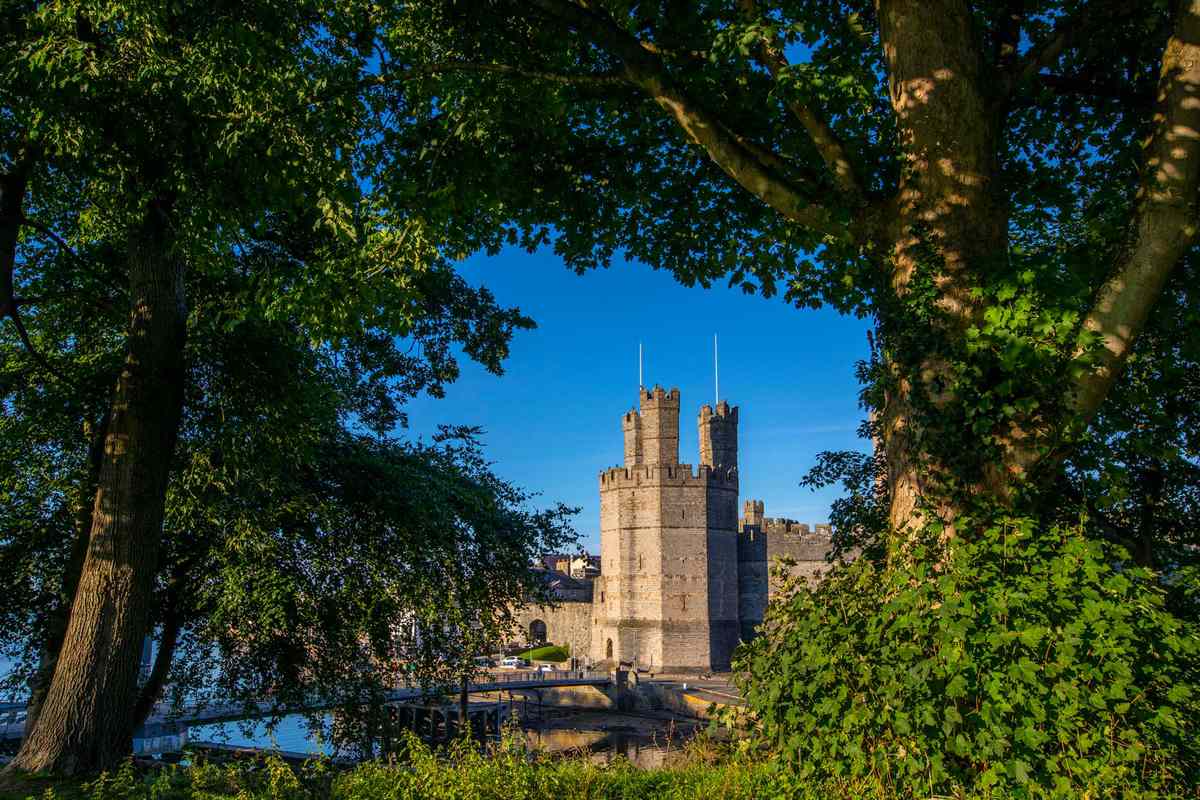 A view through the trees of the historic Caernarfon Castle in the town of Caernarfon in North Wales, UK.