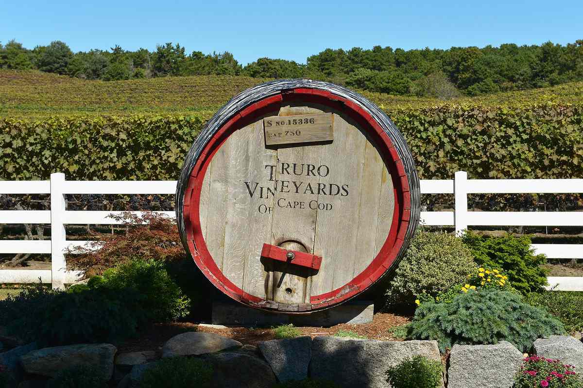 A general view of Truro Vineyards of Cape Cod