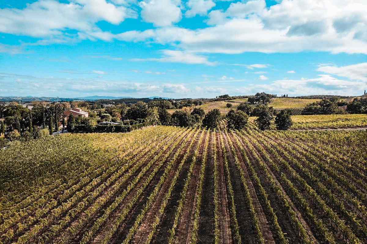 Borgo San Vincenzo in Tuscany with breathtaking views of vineyards