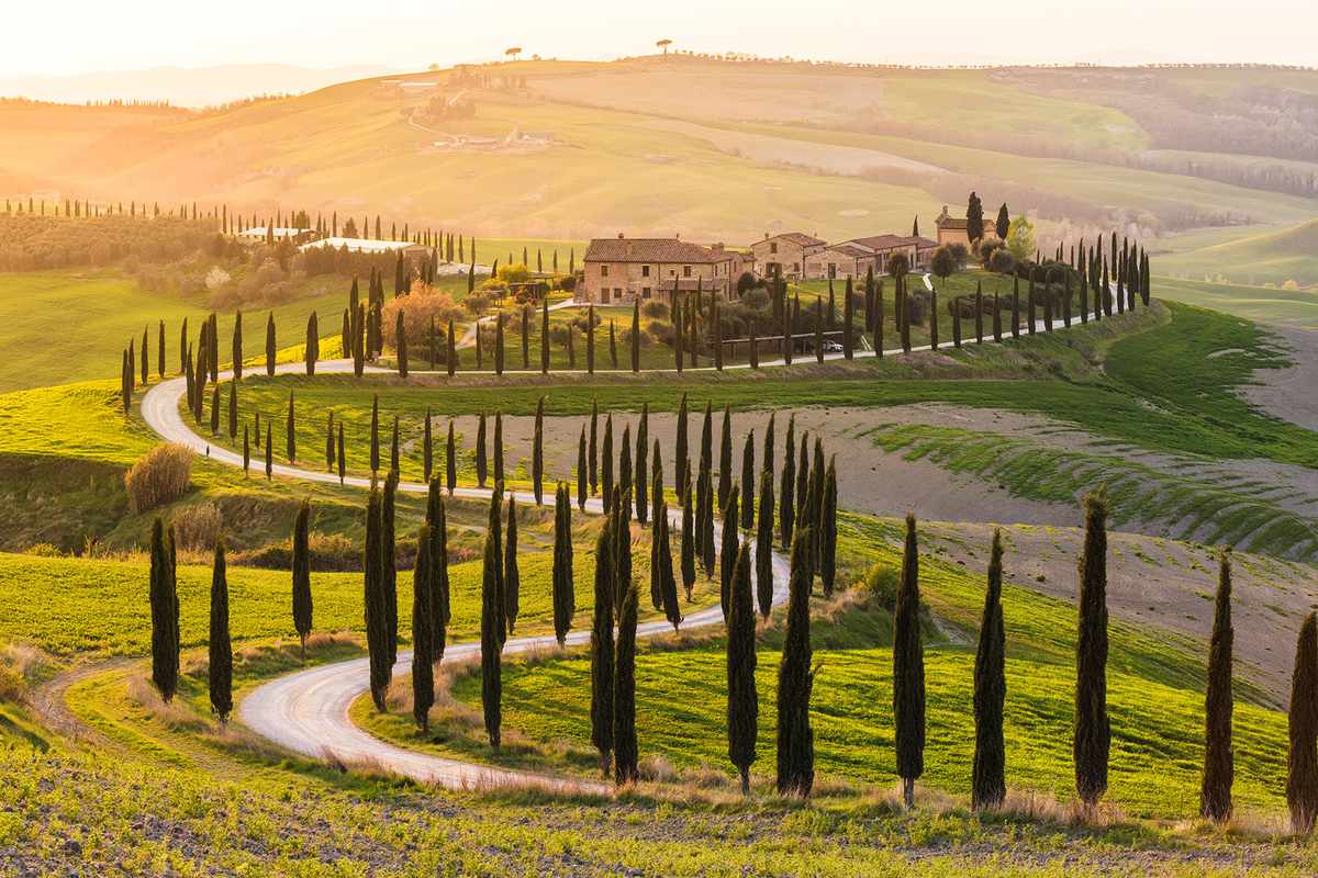 Valdorcia, Siena, Tuscany. Road of cypresses in a farmhouse at sunset
