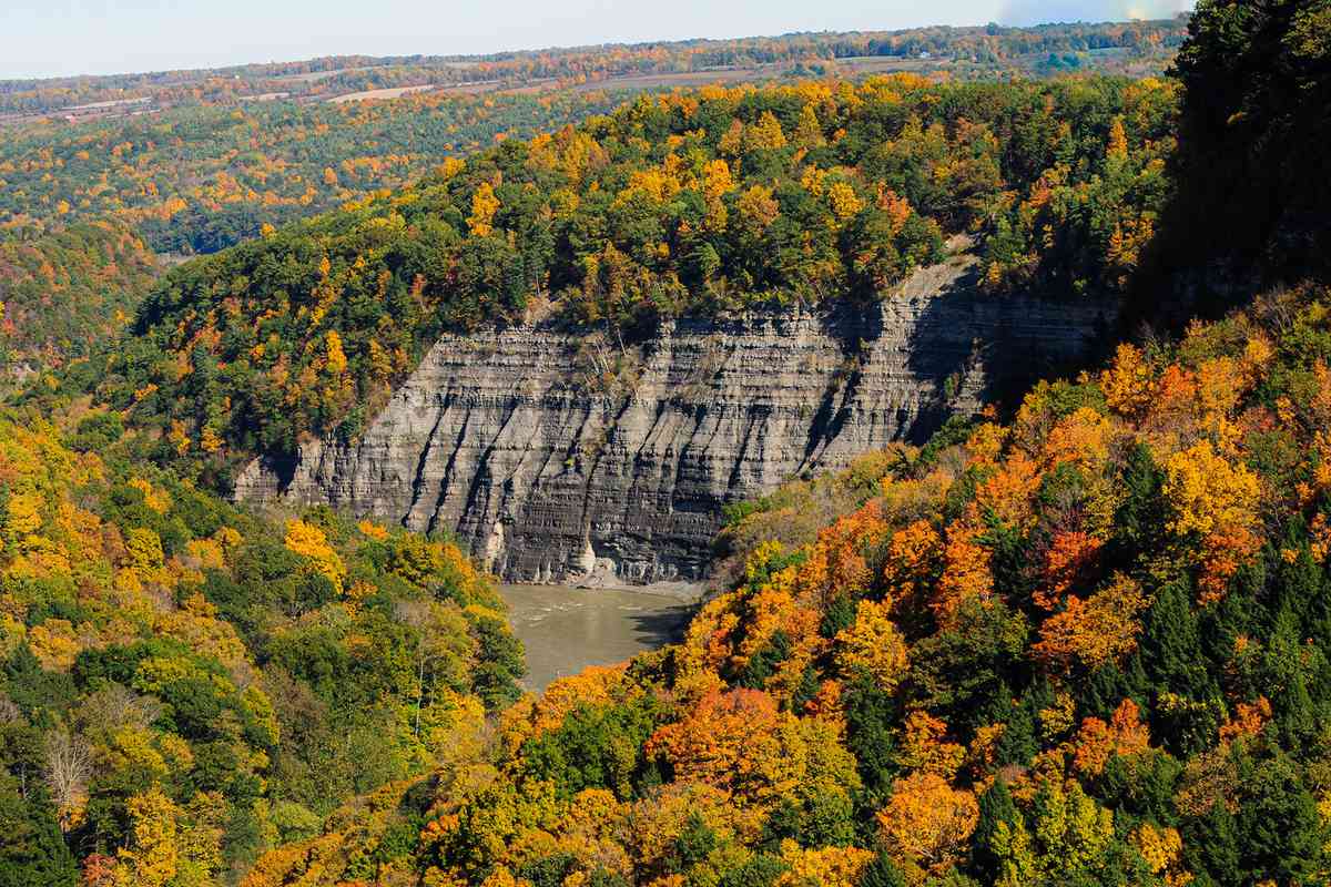 Scenic view of forest during autumn,Letchworth State Park,United States,USA