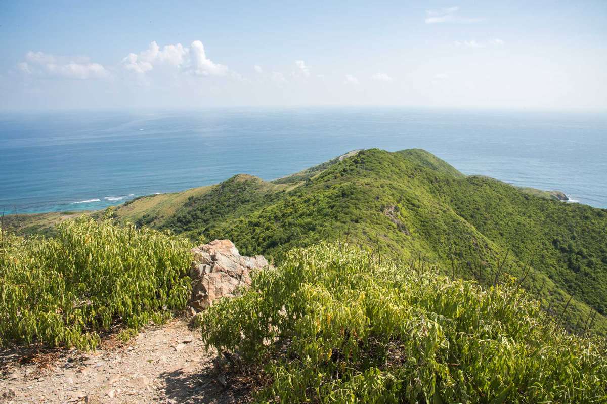 View from Goat Hill hike with lush, native greenery in the rolling landscape and Caribbean Sea seascape on St. Croix in the US Virgin Islands.