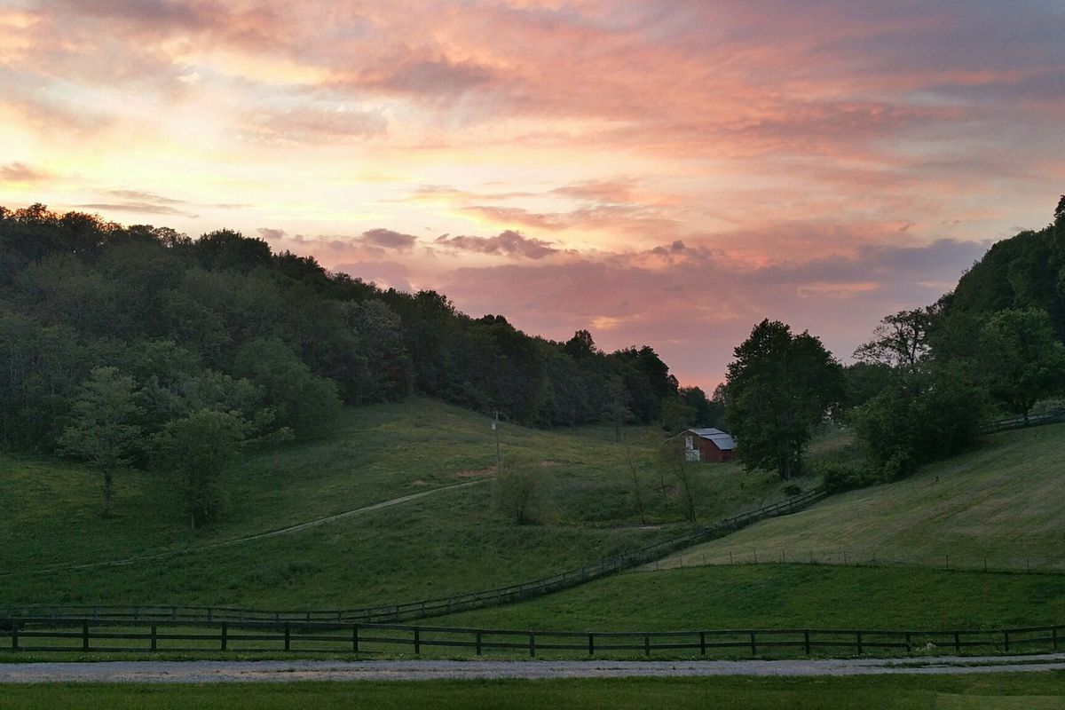 Hilly farmland in Leipers Fork, United States