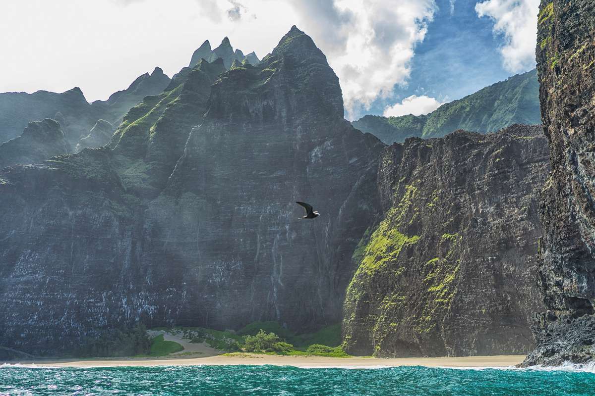 Amazing mountain range, with bird flying at the Napali coast, Hawaii