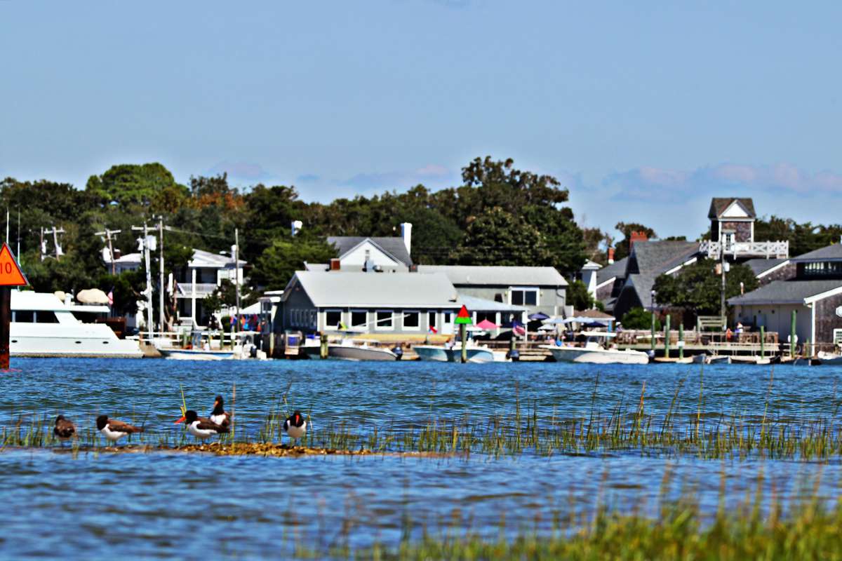 Beaufort, North Carolina, waterfront with American Oystercatcher shorebirds in the foreground.