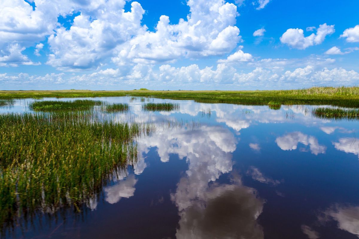 Blue sky with clouds reflected in water at Everglades National Park