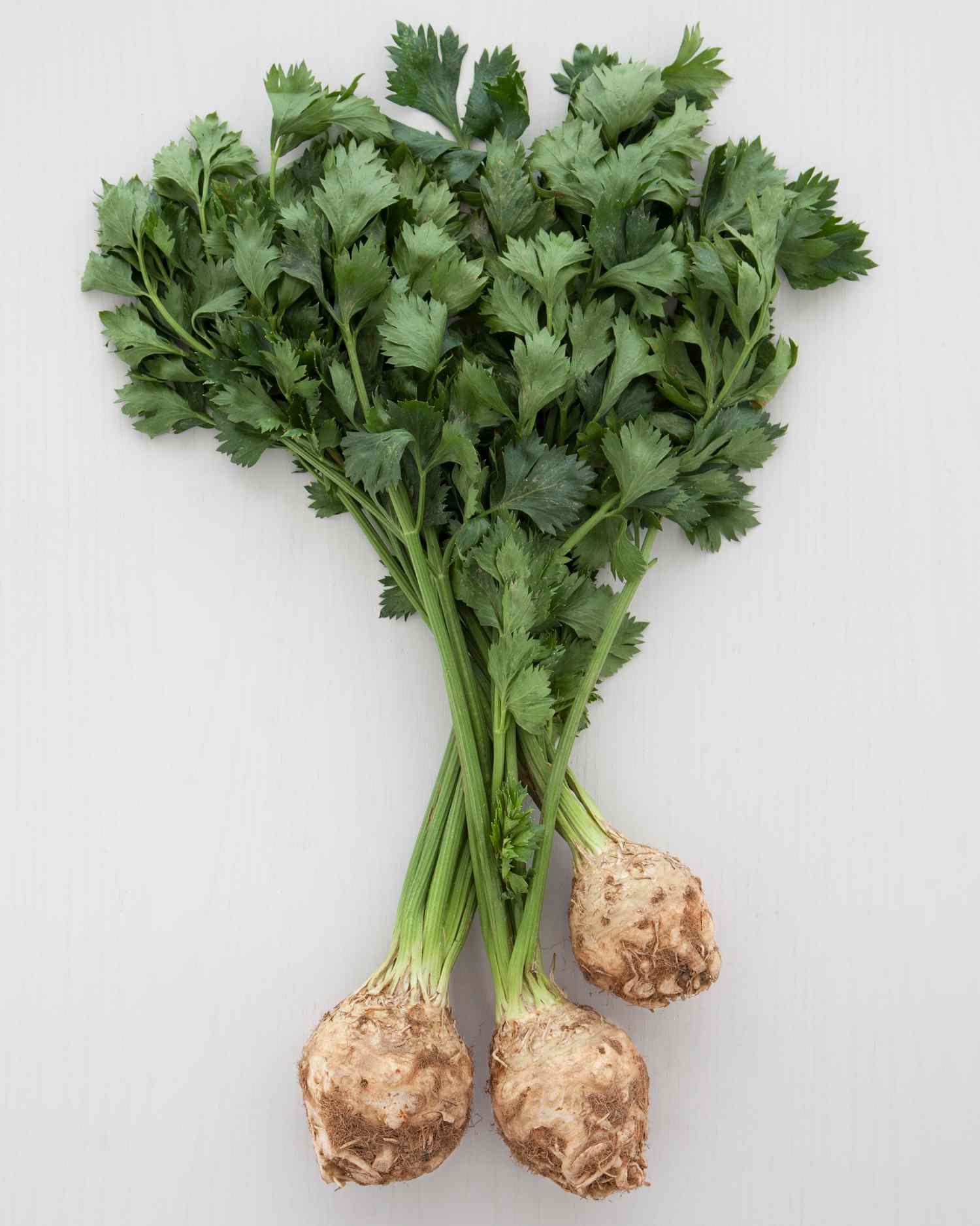Celery Root Basics