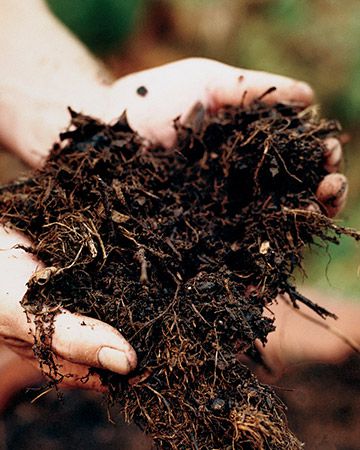 Thinking of Soil as Secondary