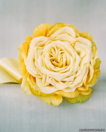 Yellow Roses Reinvented