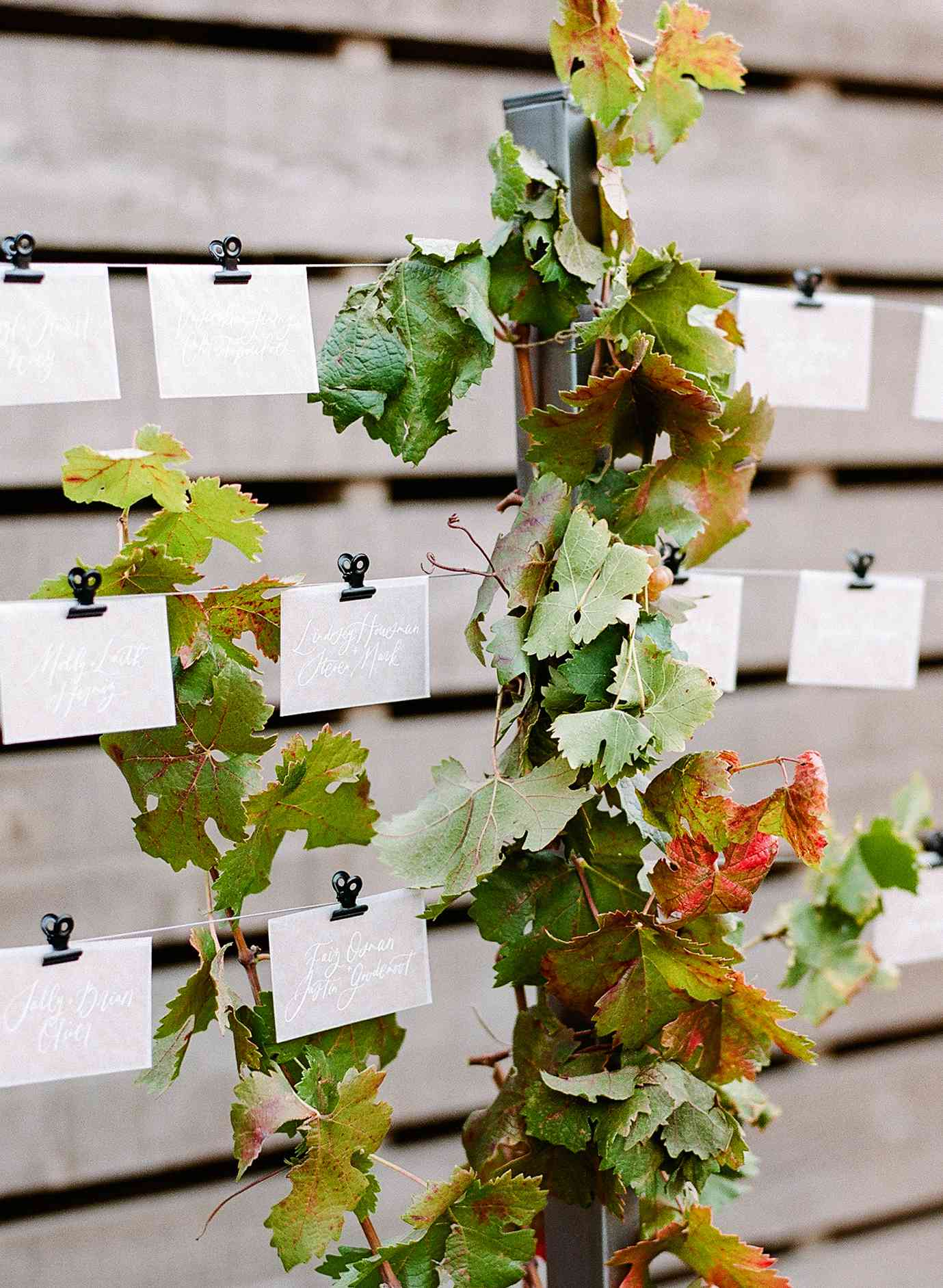 cristina chris wedding escort cards on lines with fall leaves