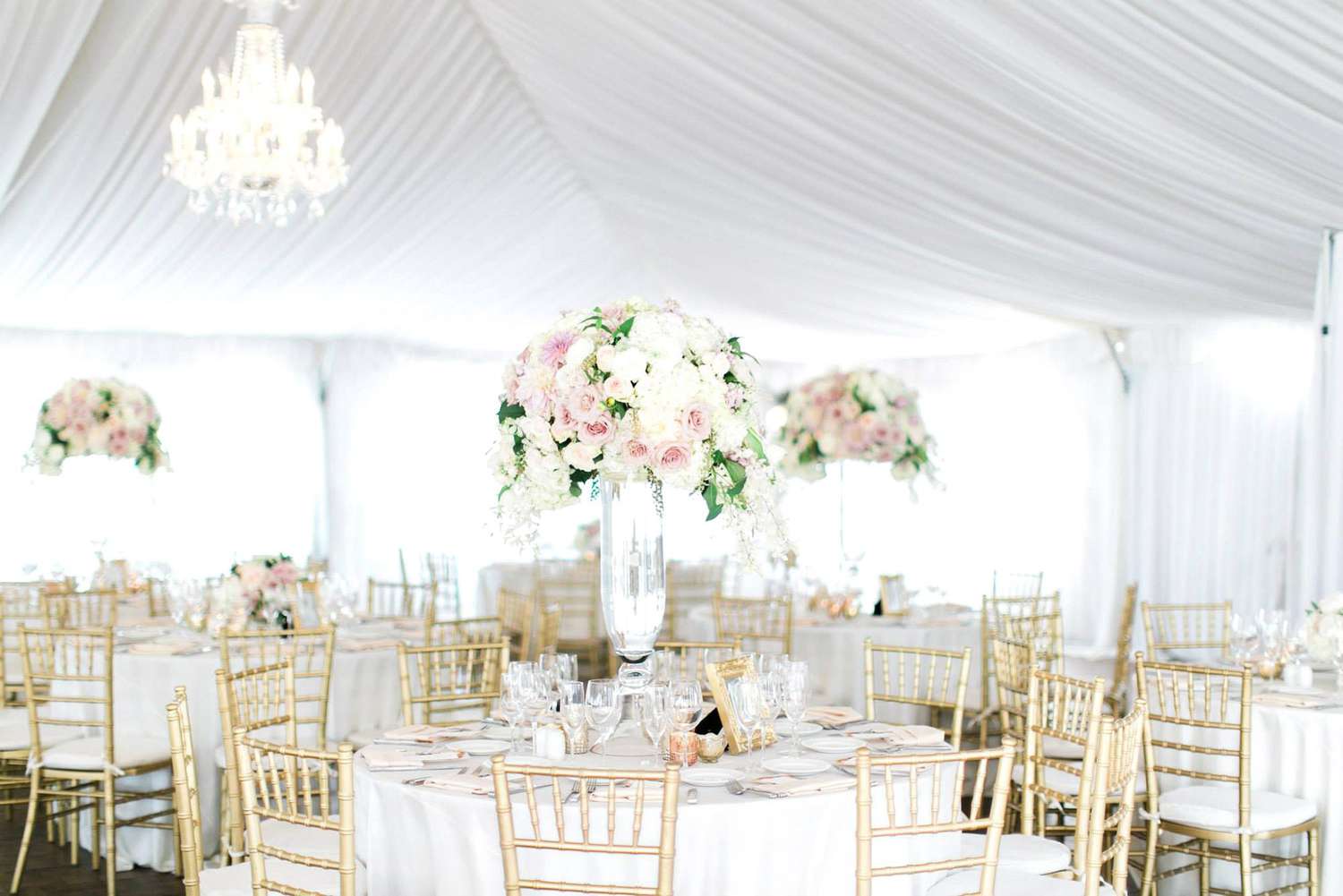 beautiful garden wedding reception tent, white tables with gold chairs and floral centerpieces
