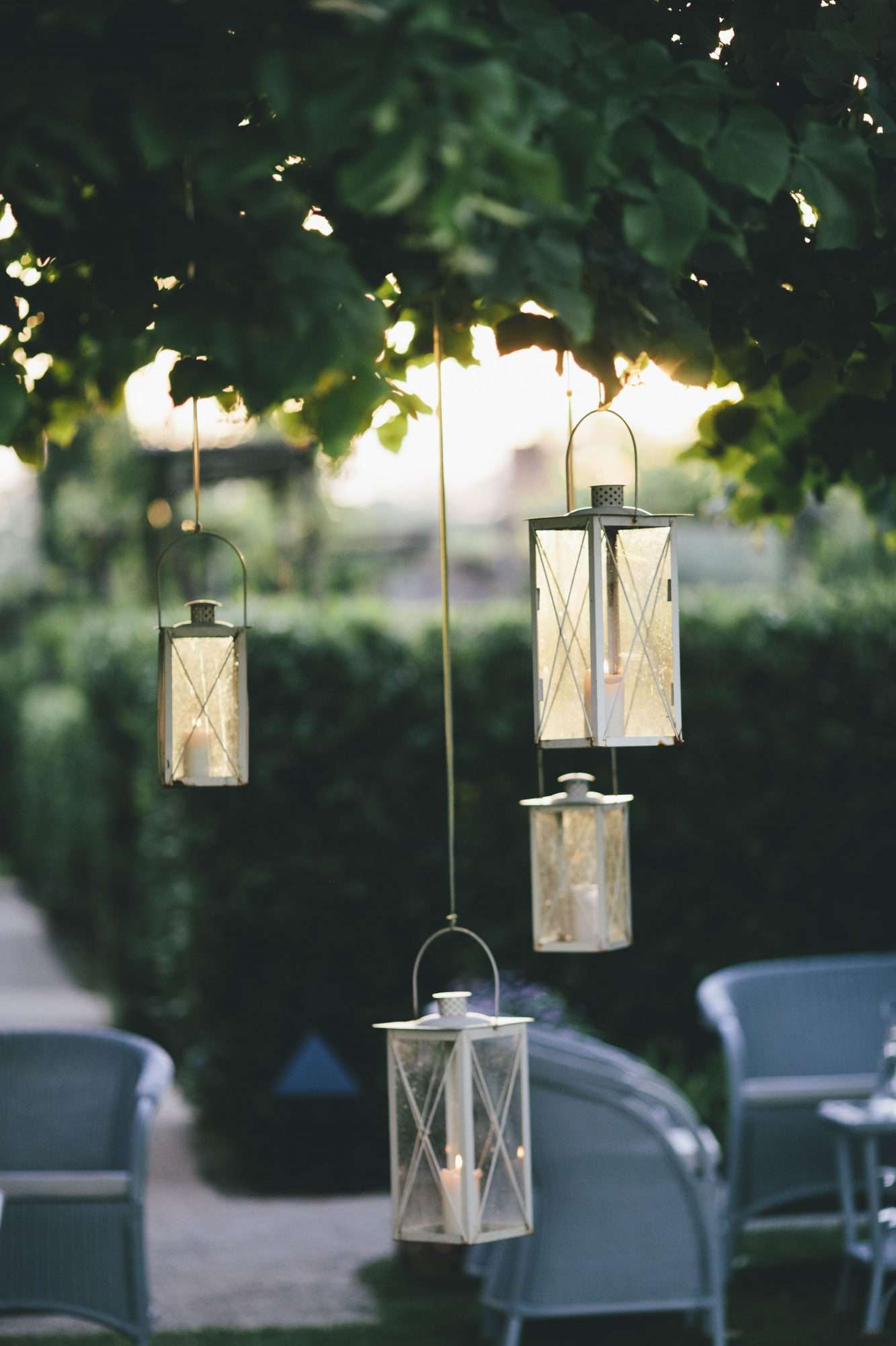 lanterns hanging from trees