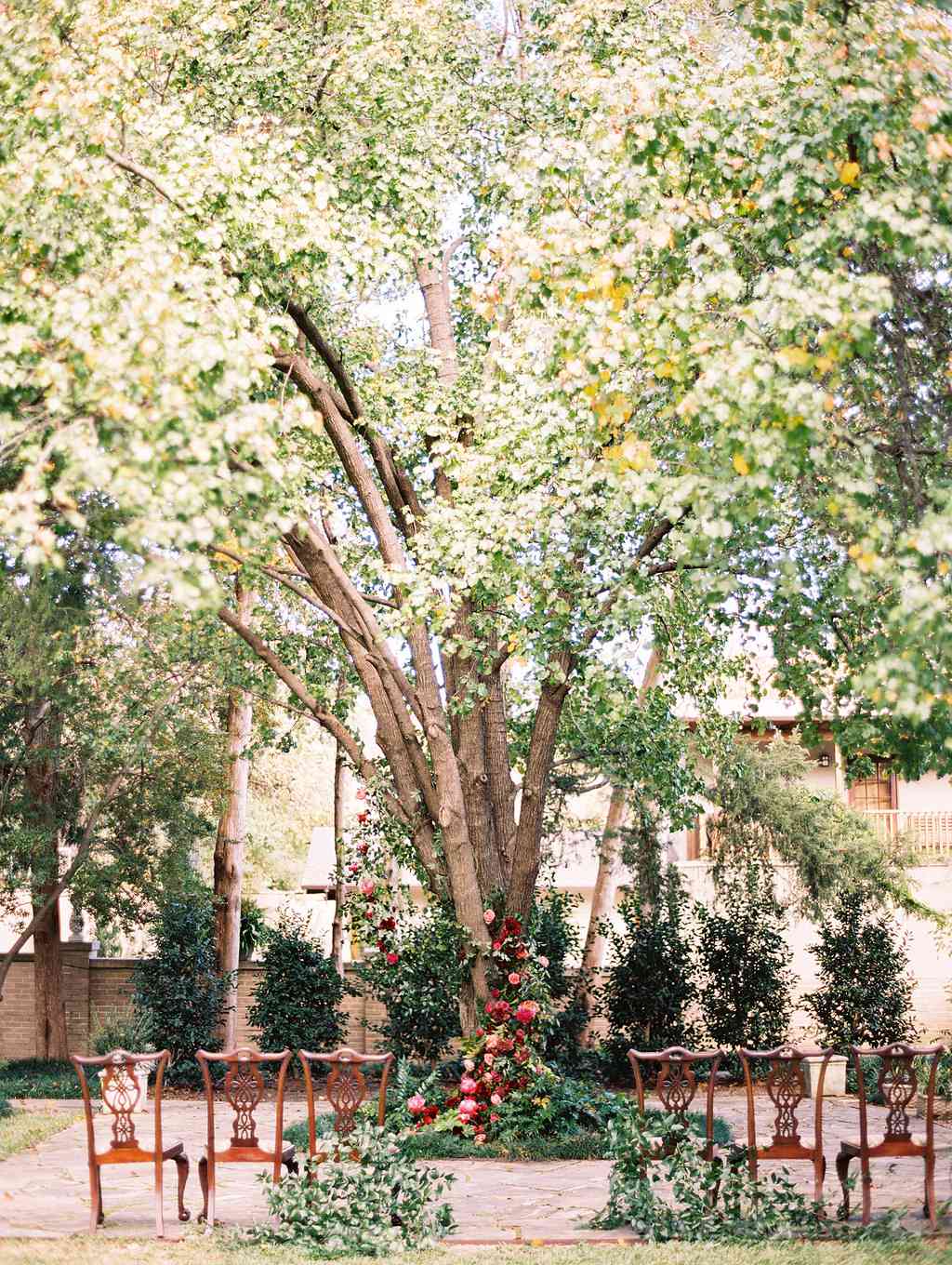 yolanda cedric wedding ceremony tree